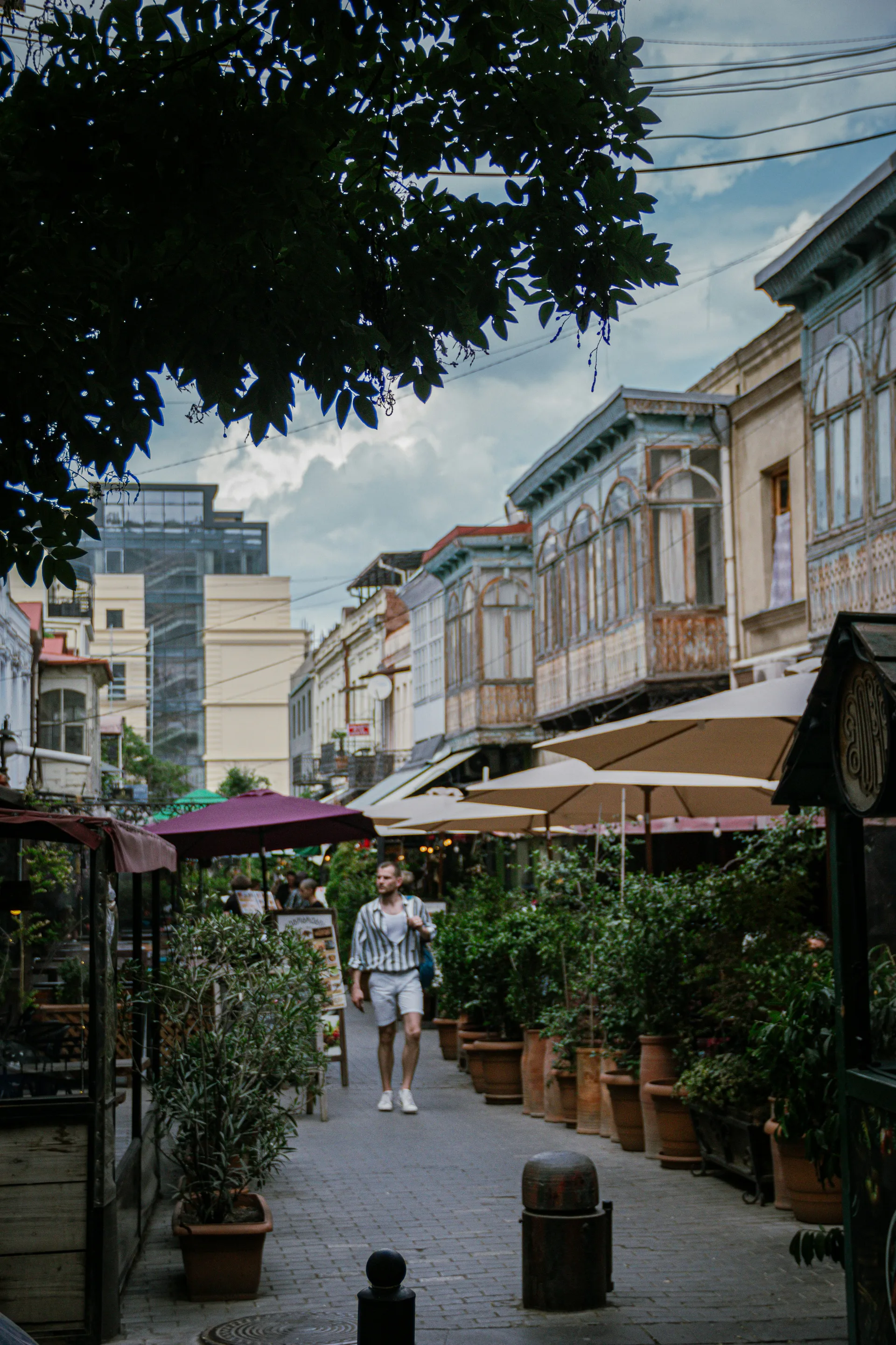 A cozy residential street in Tbilisi's Old Town with traditional balconies and greenery