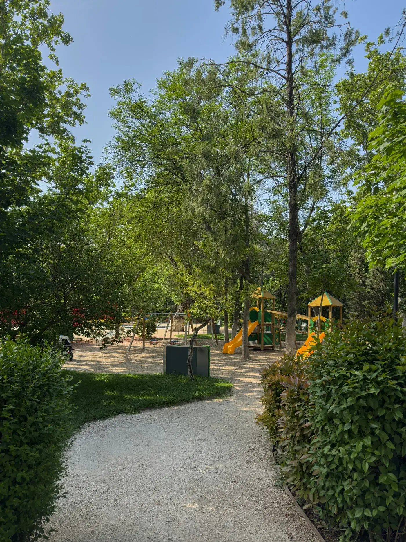 Sunny park in Tbilisi with tree-lined pathways and a children's playground